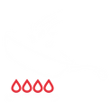资源 3.png